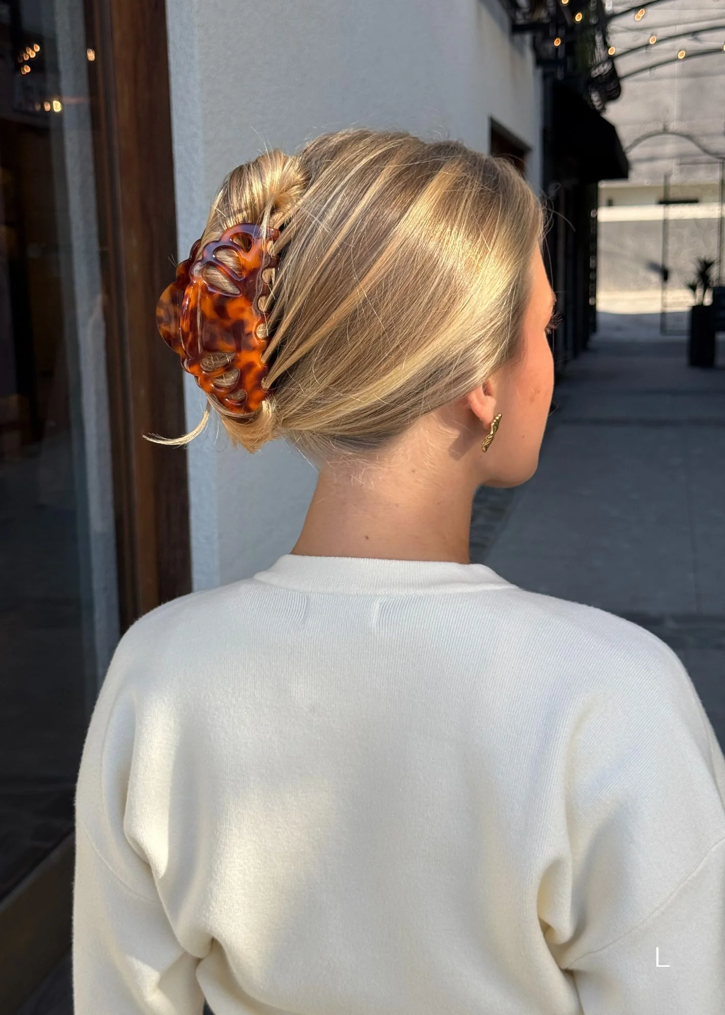 Icon Clip in Tortoise