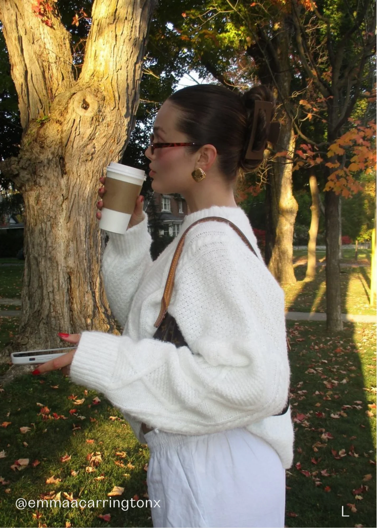 Daily Clip in Walnut