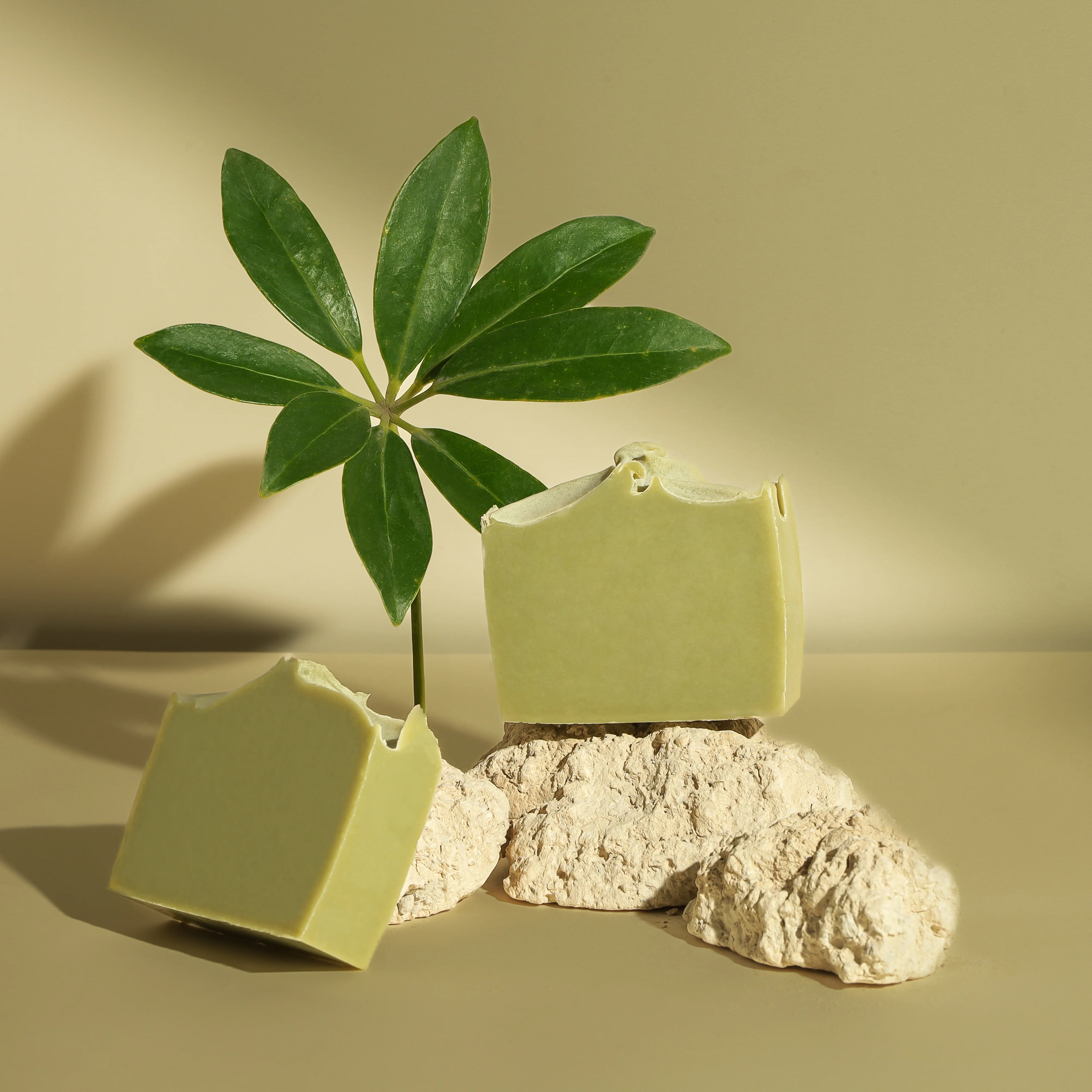 Earth Glow Soap