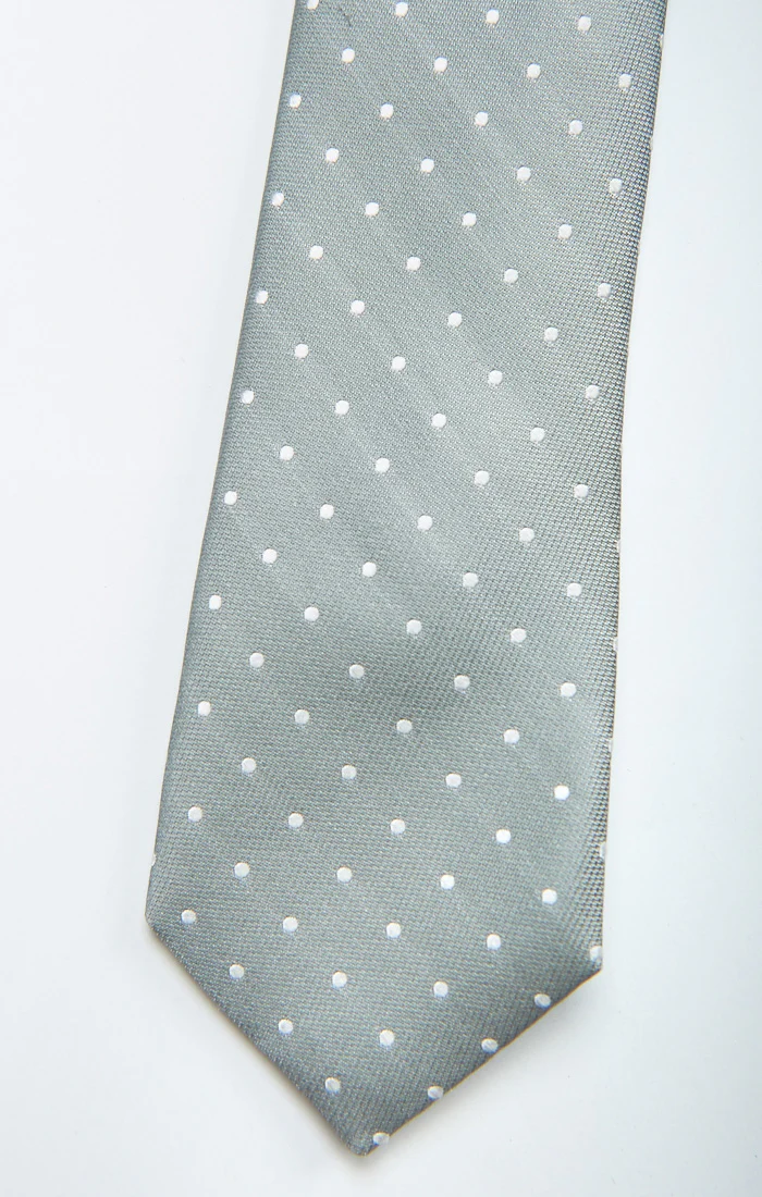 Nico Neck Tie ~ Silver Sage Dot