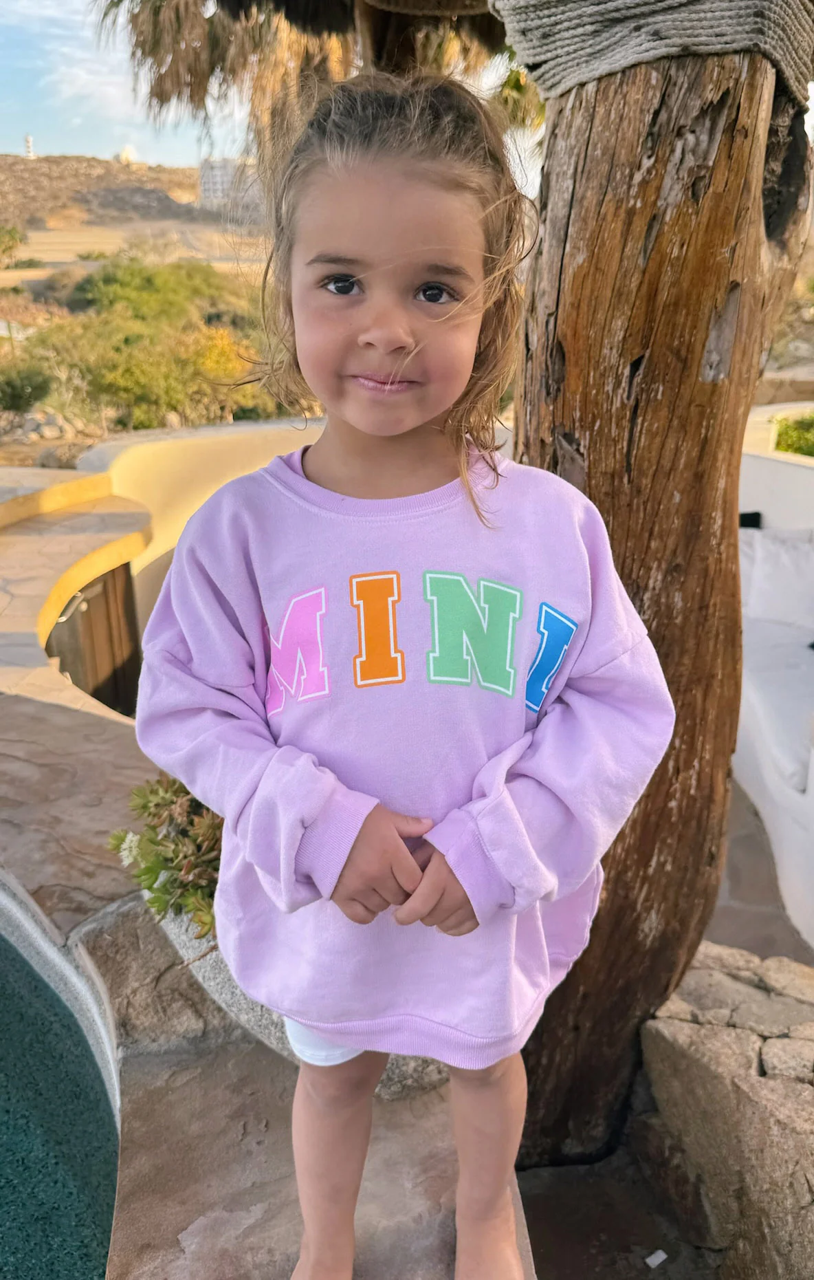 Davis Sweatshirt ~ Pink Mini Graphic