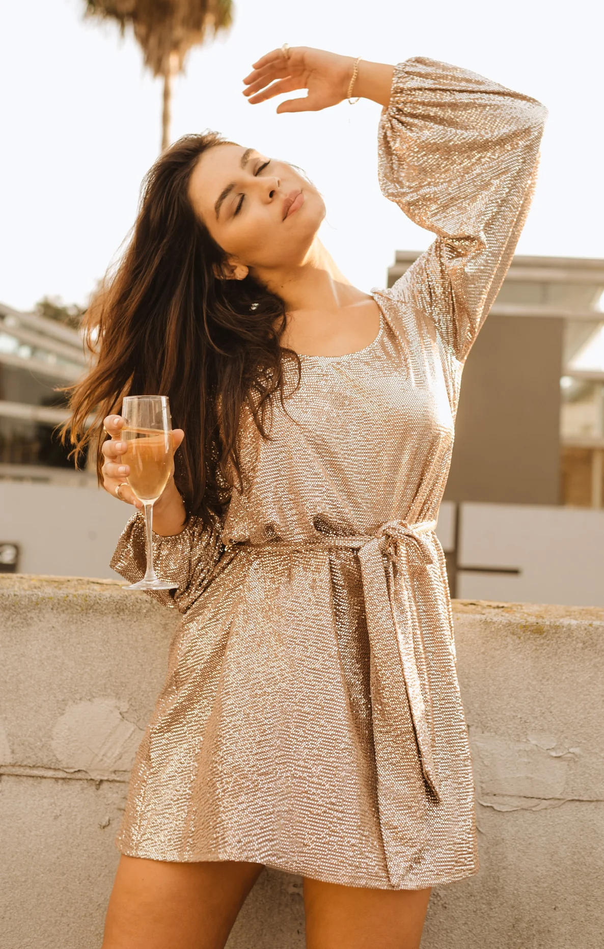 Liv Mini Dress ~ Silver Confetti