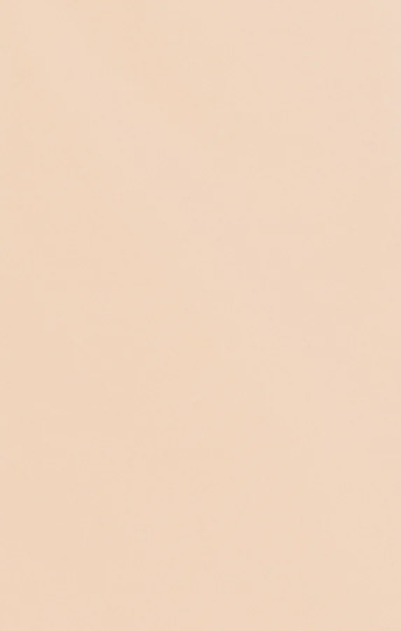 Bridesmaid Fabric Swatch