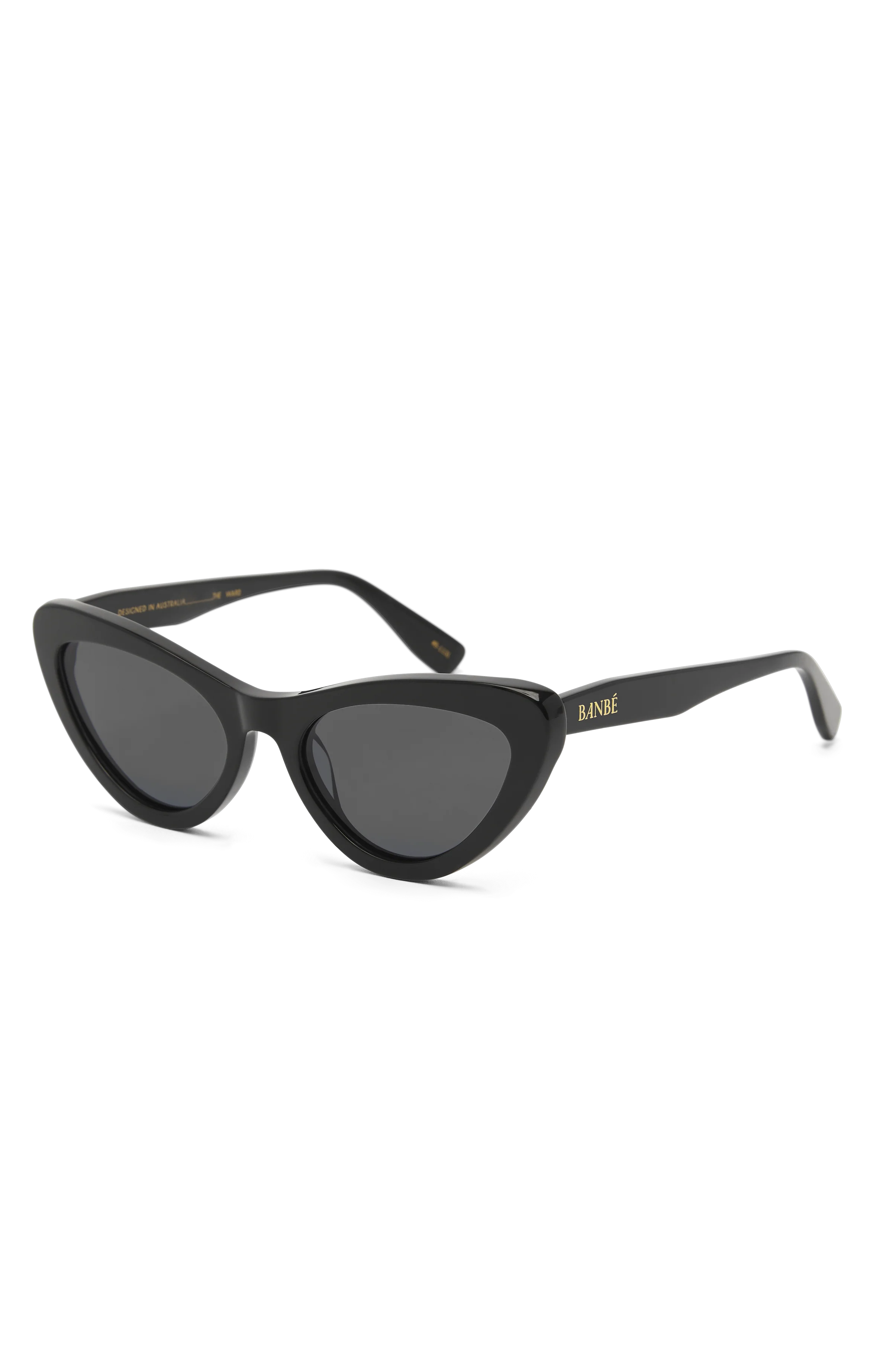 Banbè Eyewear The Ward Sunglasses ~ Black