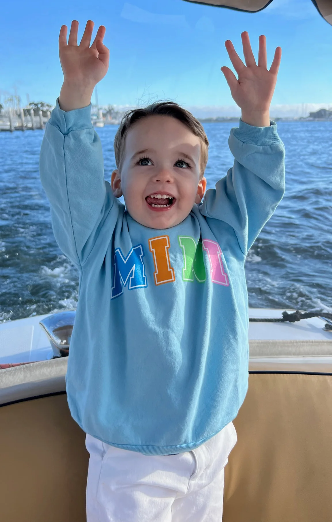 Davis Sweatshirt ~ Blue Mini Graphic