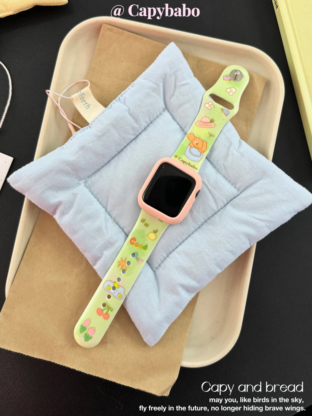 Let's Go Picnic Apple Watch Band