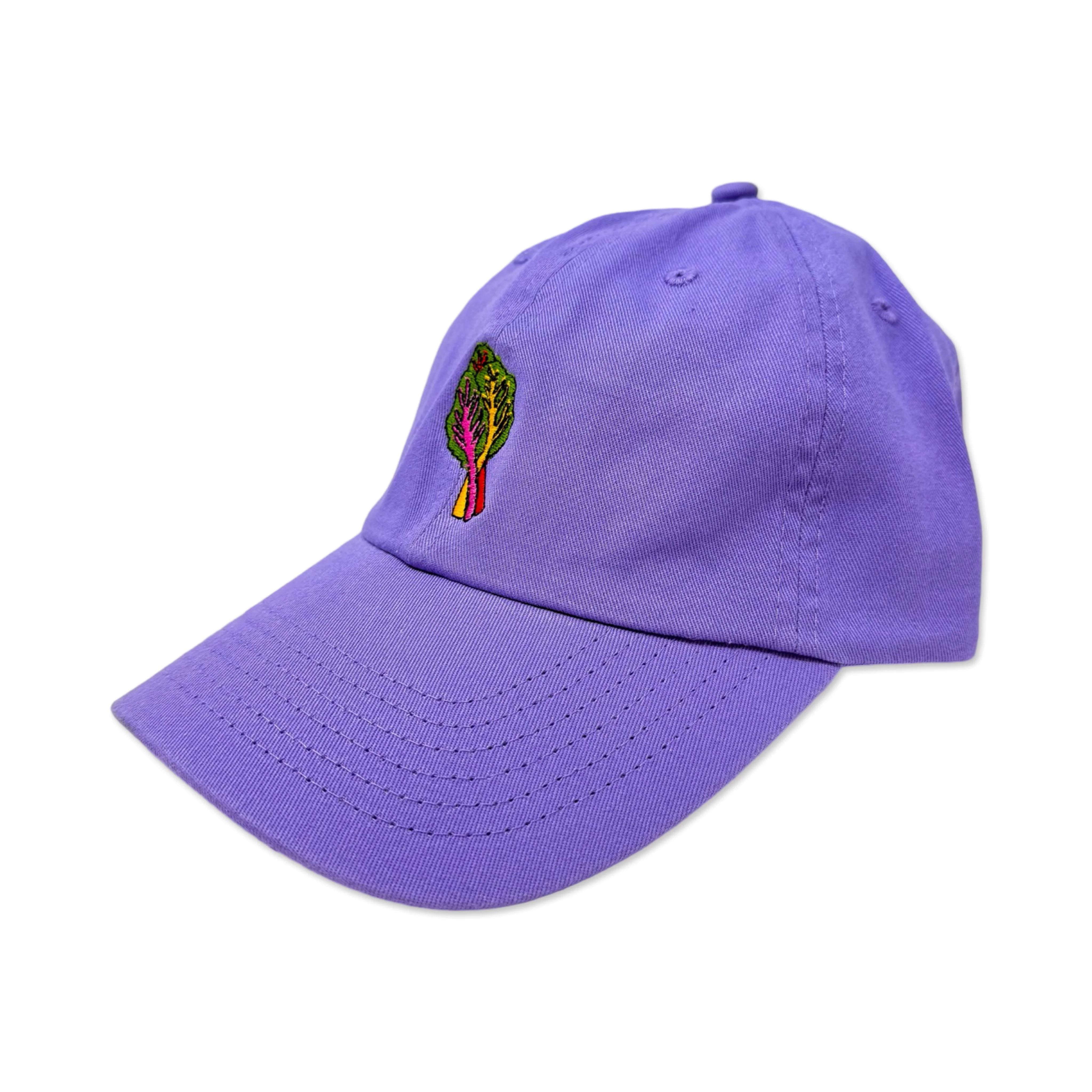 Rainbow Chard Embroidered Hat