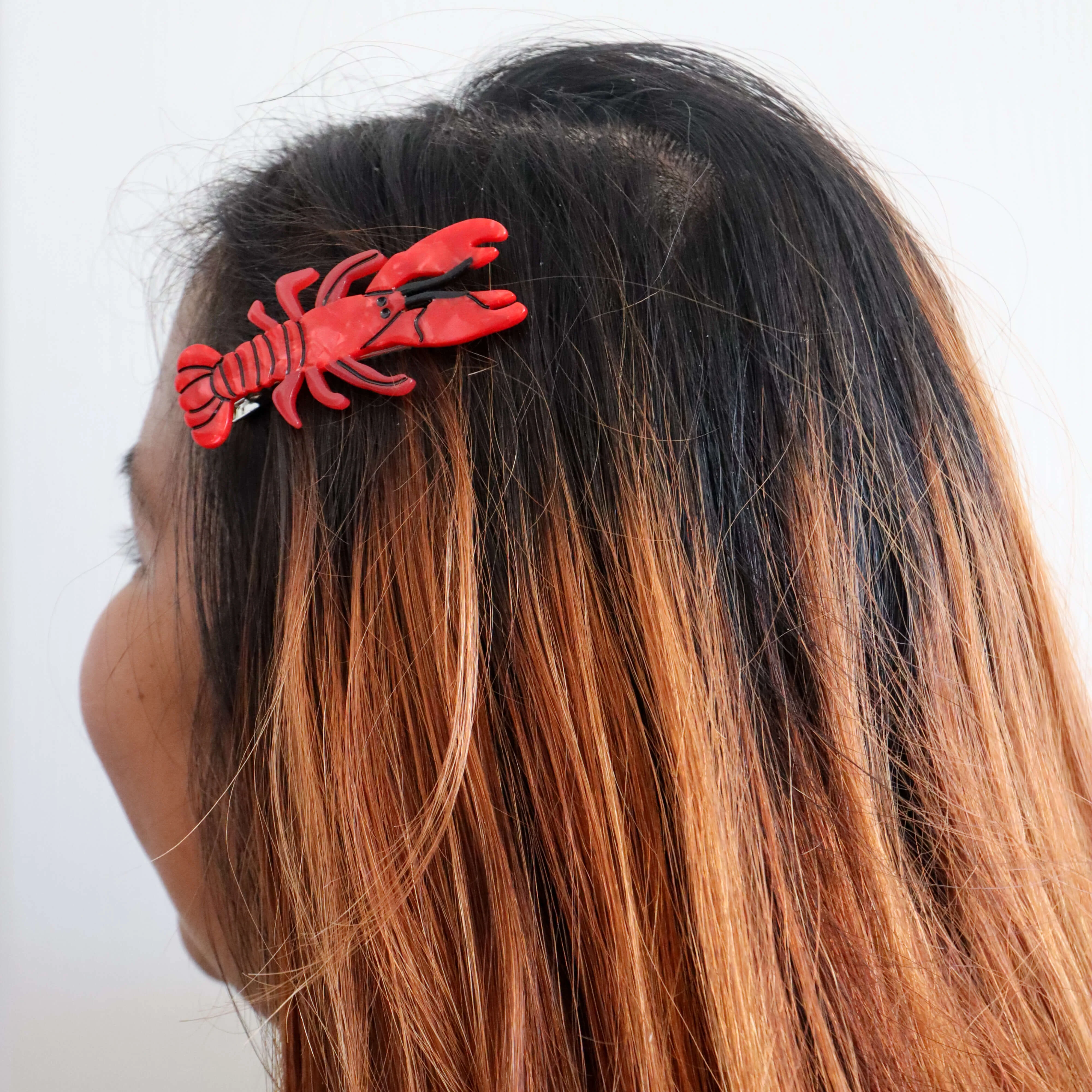 Lobster Alligator Hair Clip Set