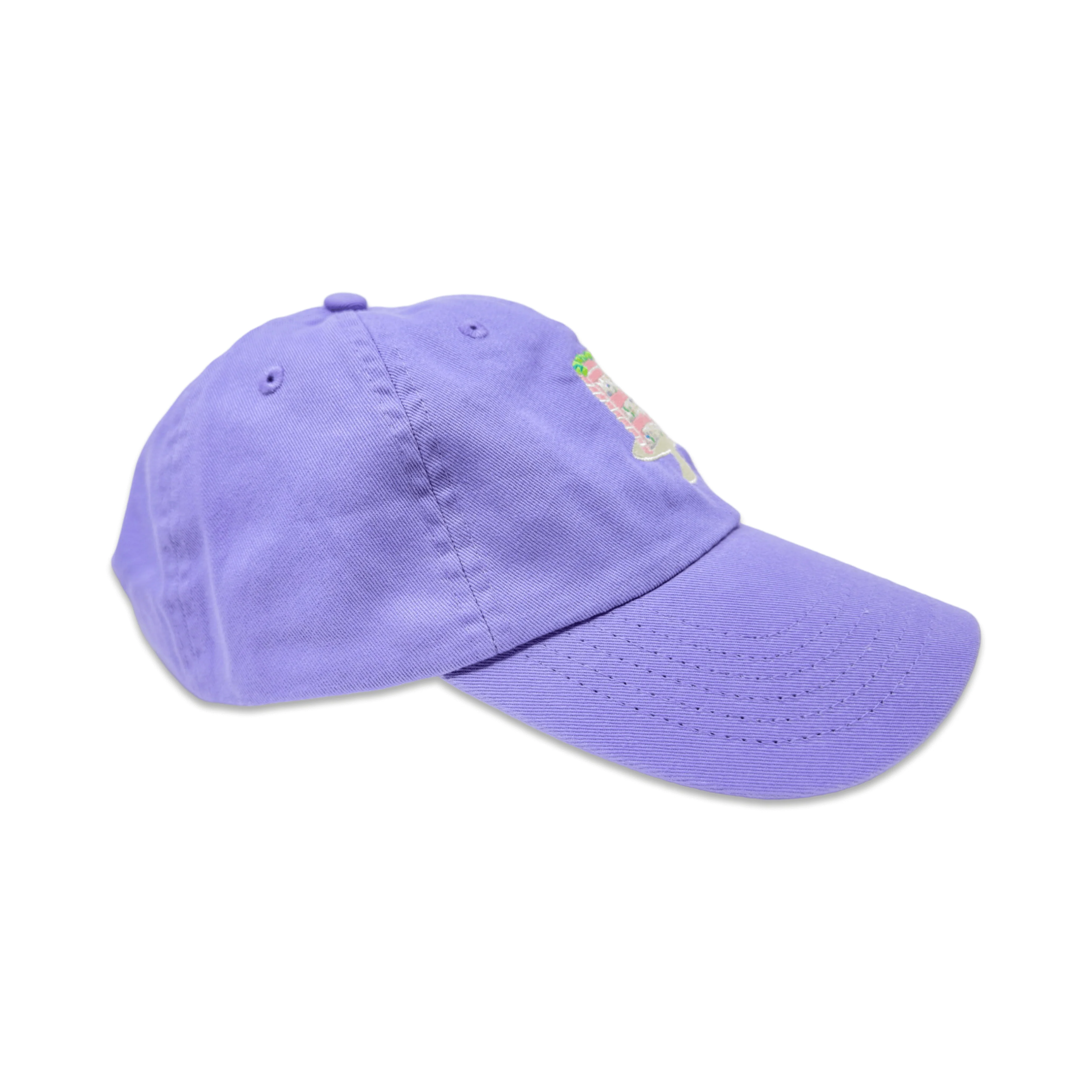 Confetti Cake Embroidered Hat
