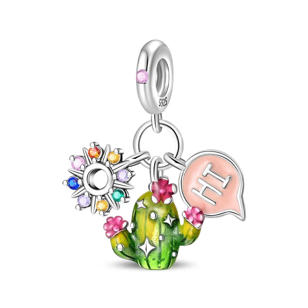 Cactus with Rainbow Flowers & 