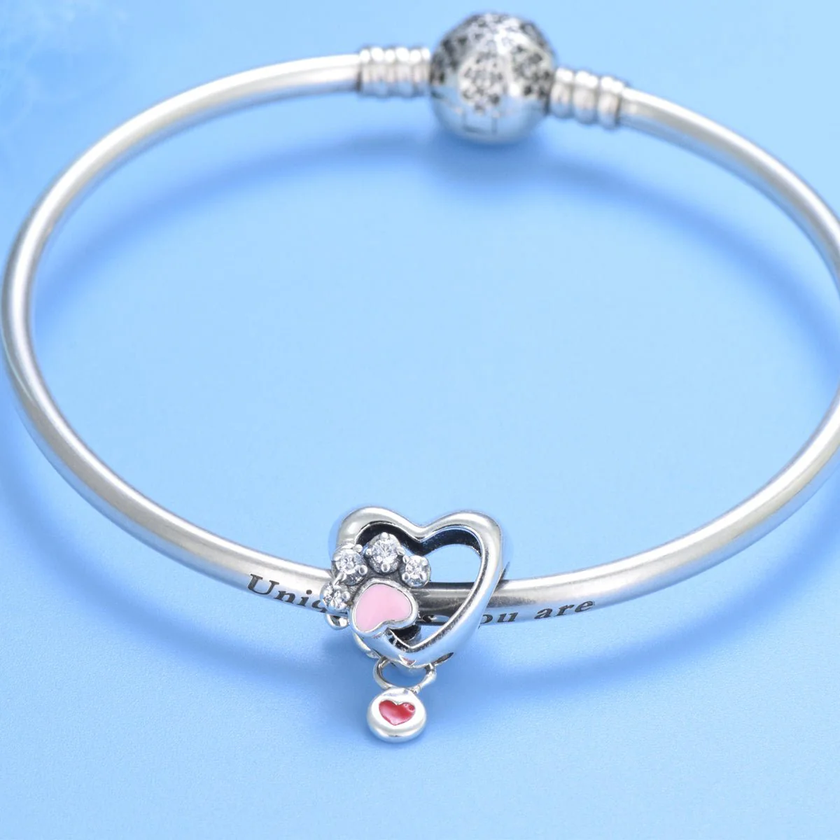 Sparkling Paw Print & Heart Charm