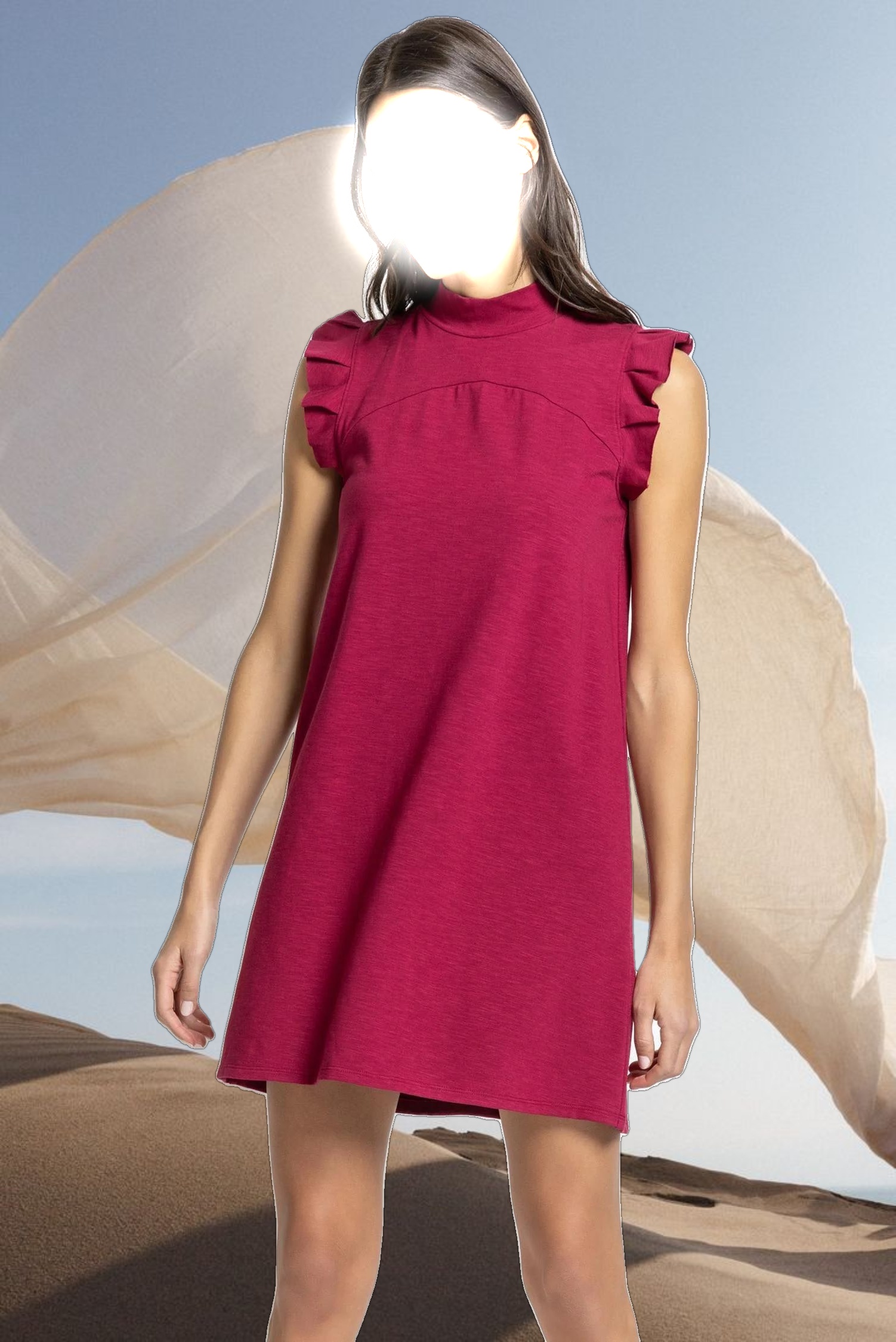 Ruffle Sleeve Mock Neck Dress
