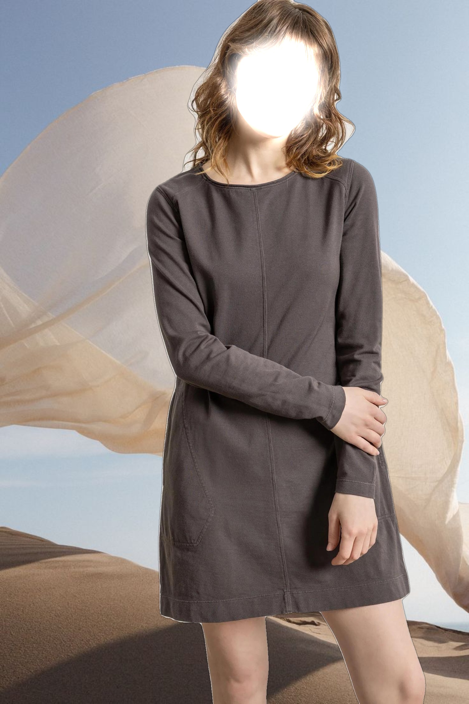 Front Seam Crewneck Dress