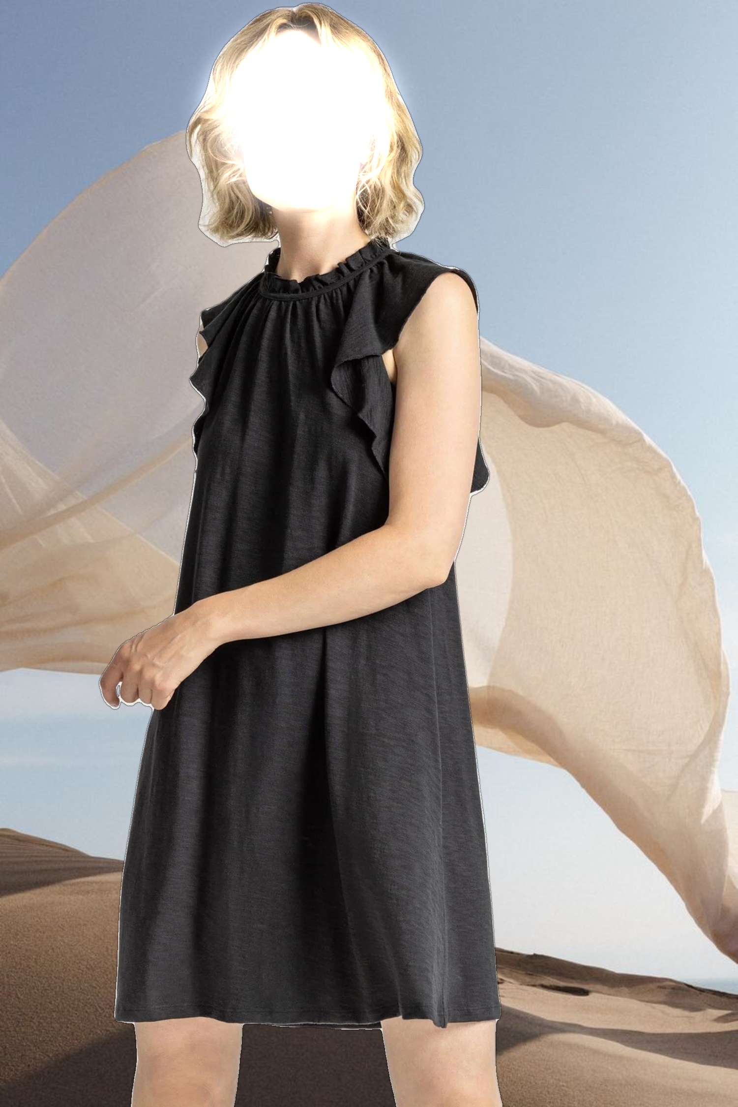 Ruffle Trim Sleeveless Dress