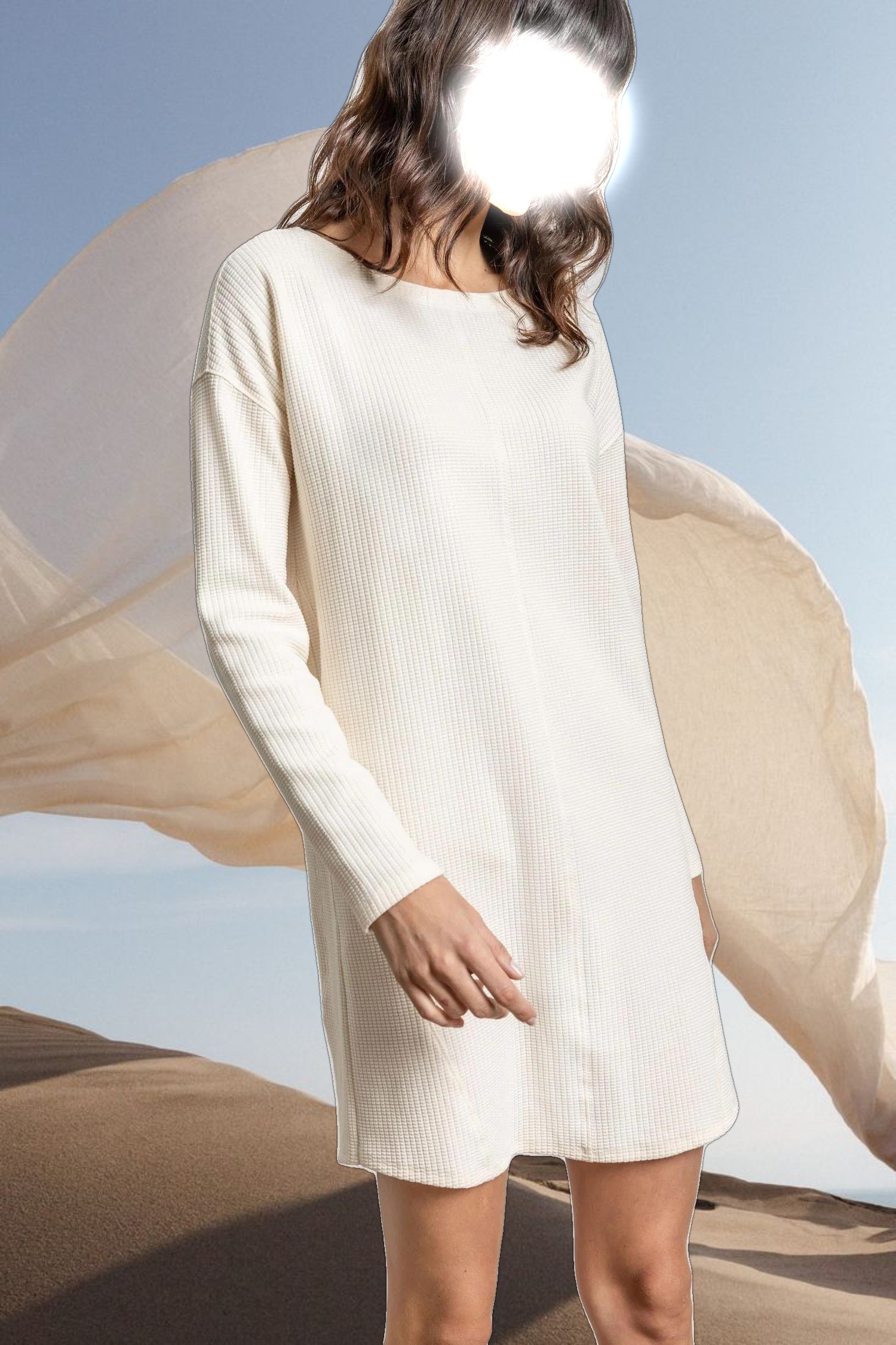 Seamed Boatneck Dress