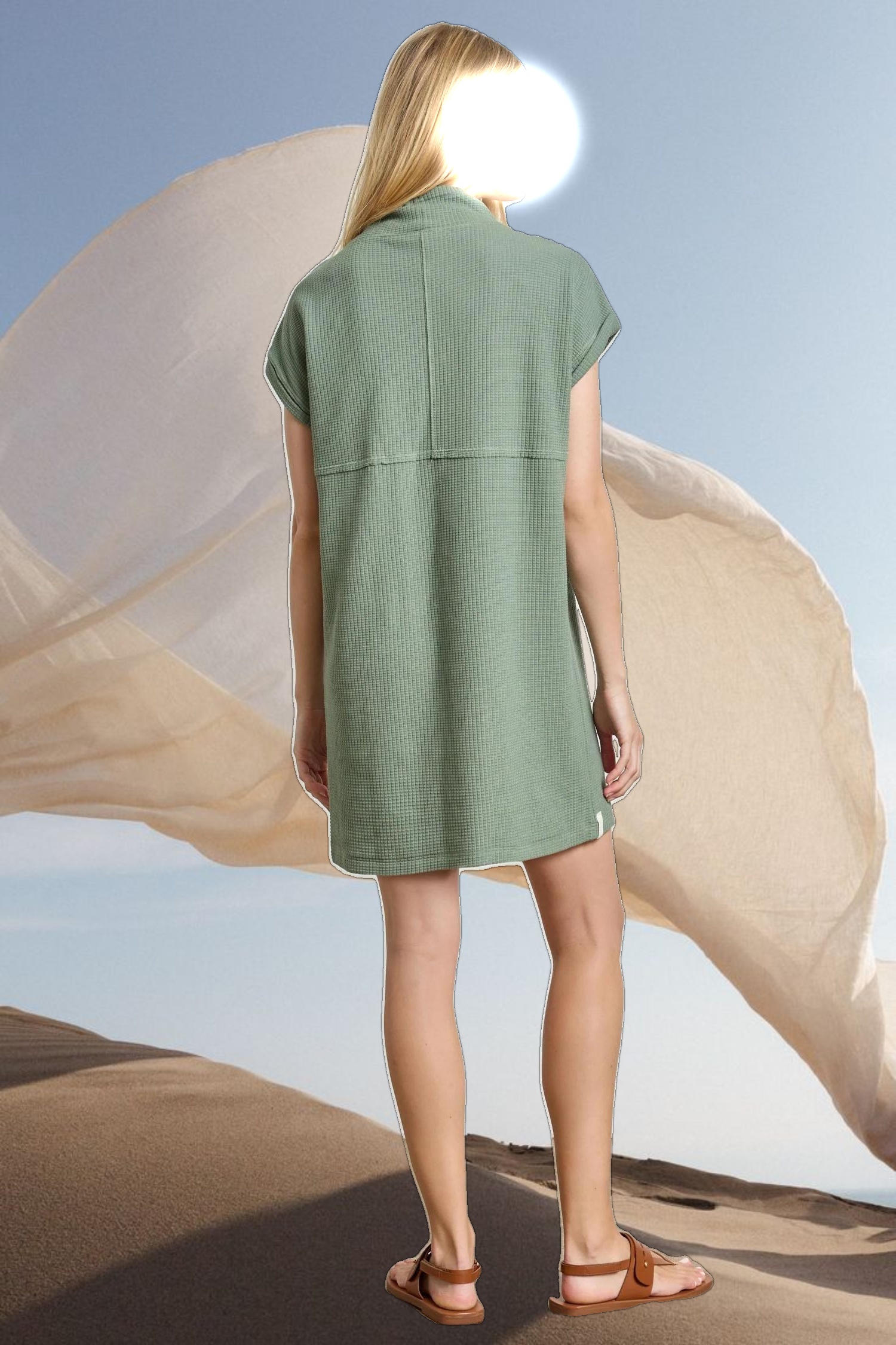 Roll Sleeve Seamed Dress