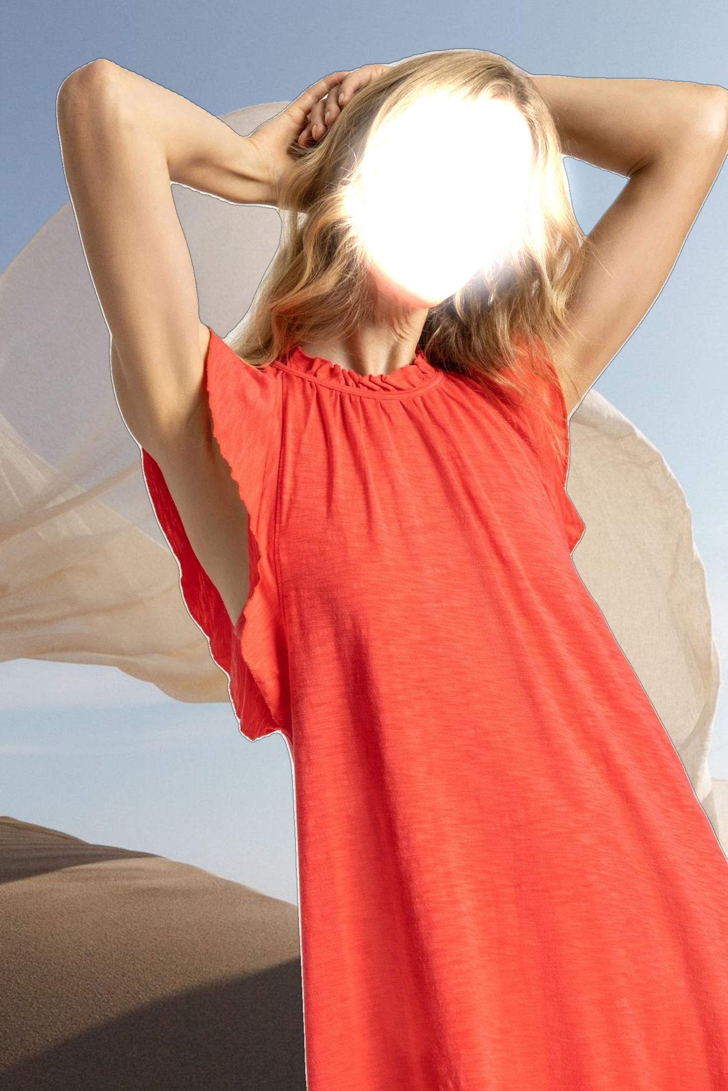 Ruffle Trim Sleeveless Dress