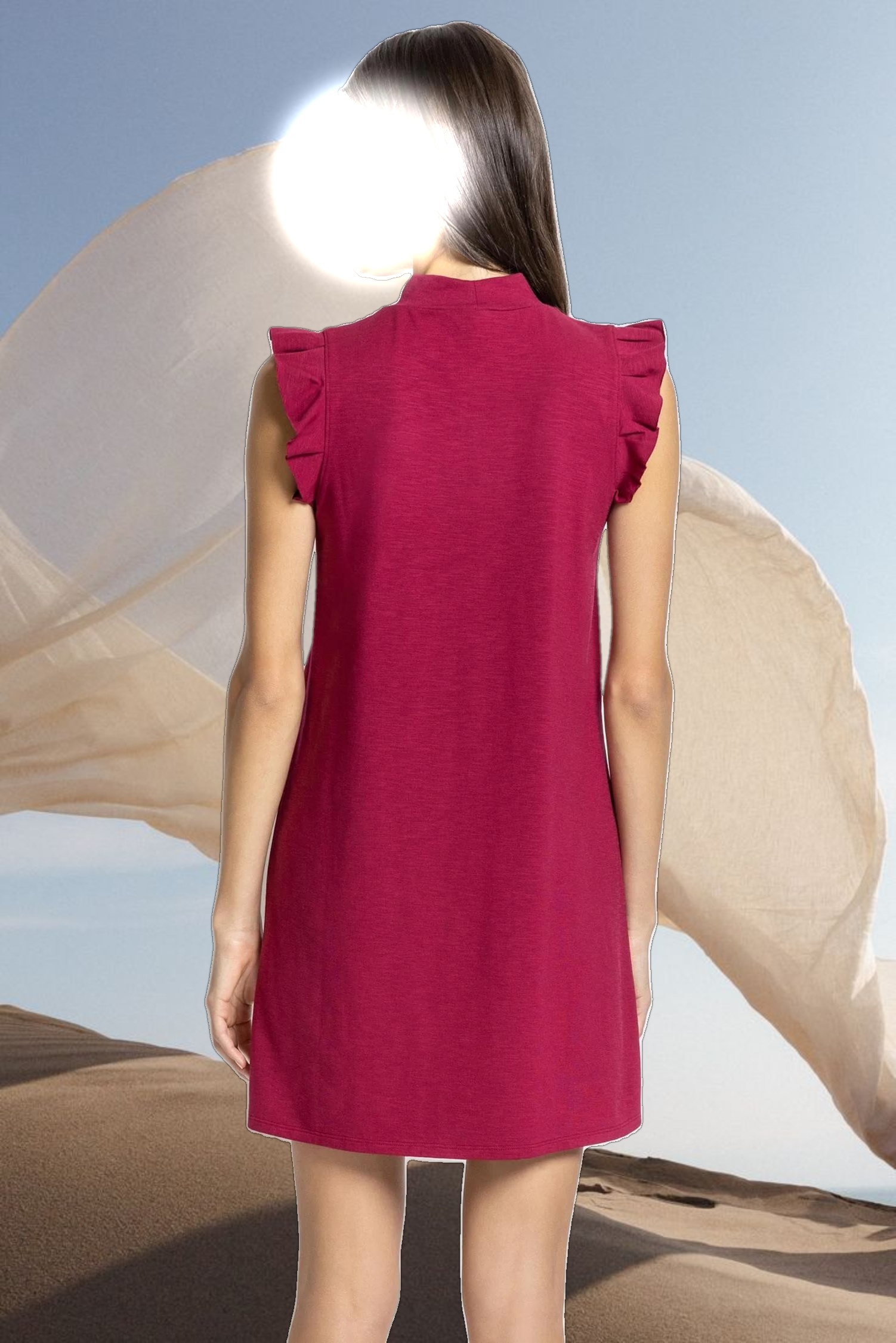 Ruffle Sleeve Mock Neck Dress