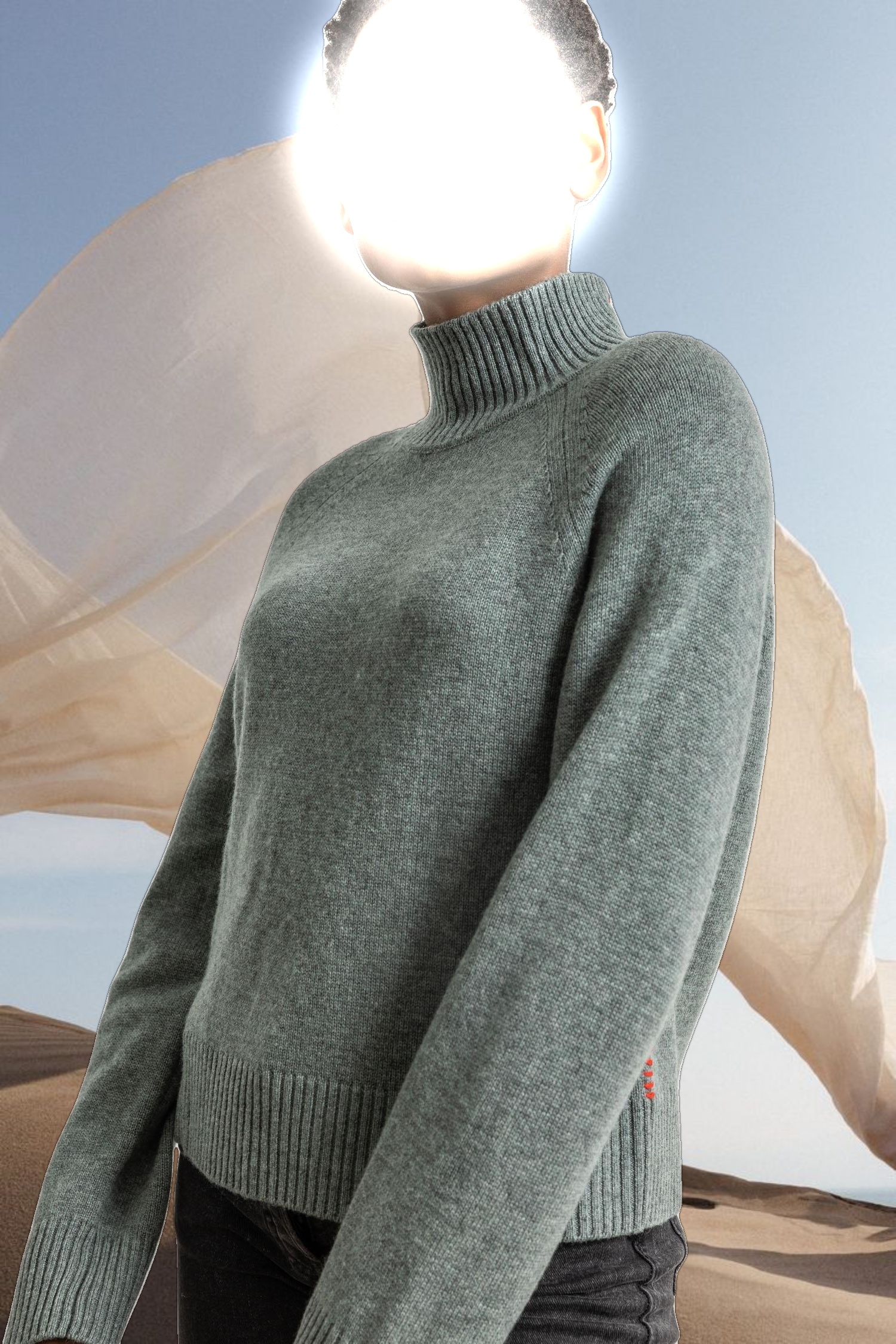 Full Sleeve Turtleneck Sweater