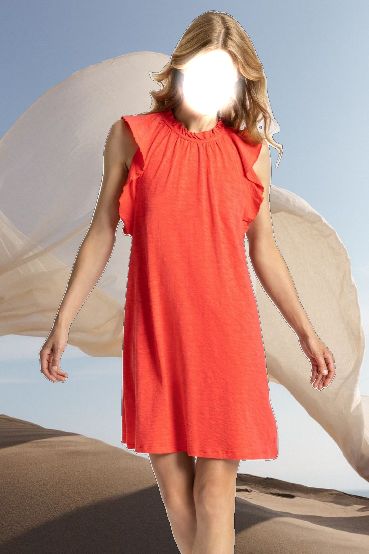 Ruffle Trim Sleeveless Dress