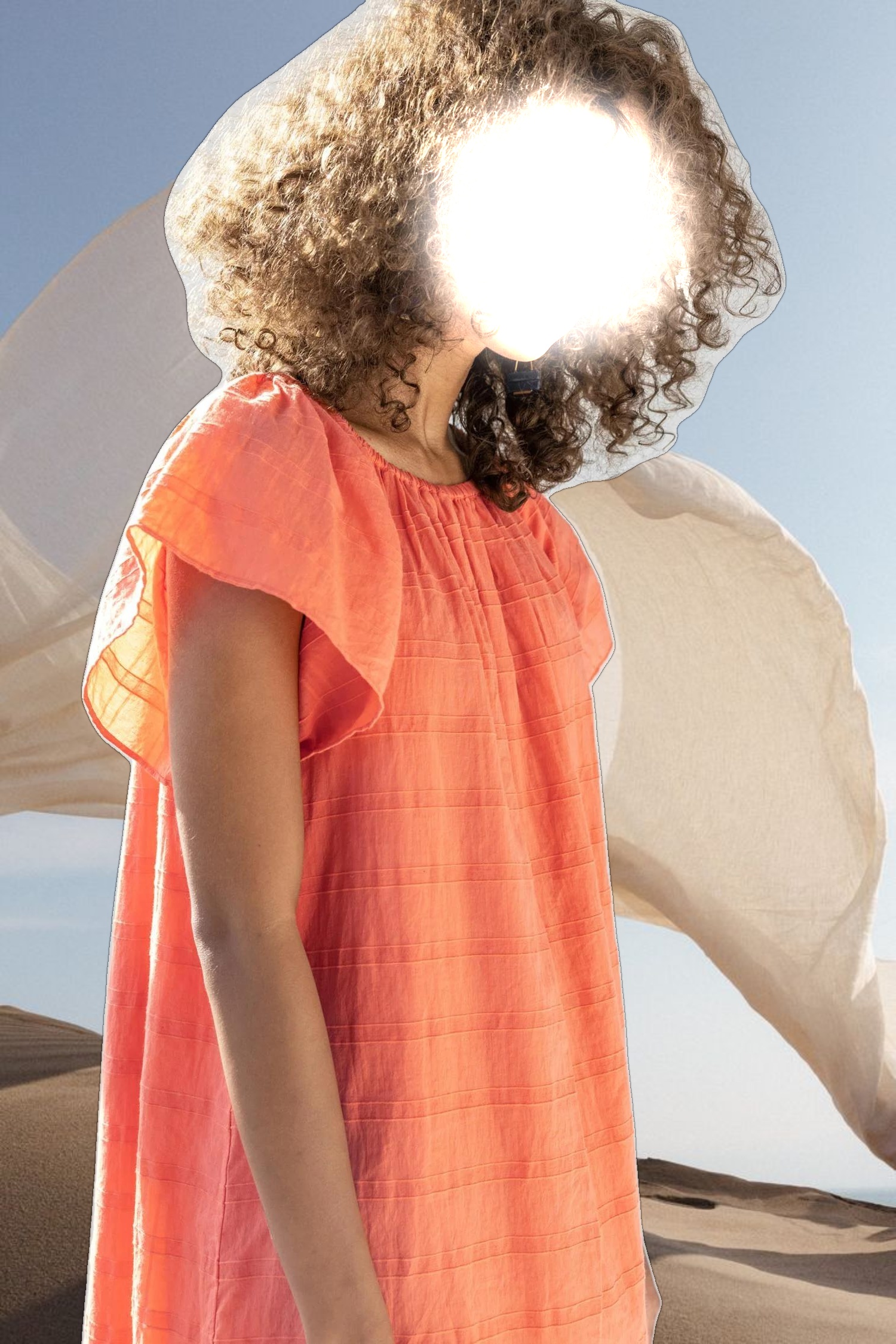 Flutter Sleeve Raglan Dress