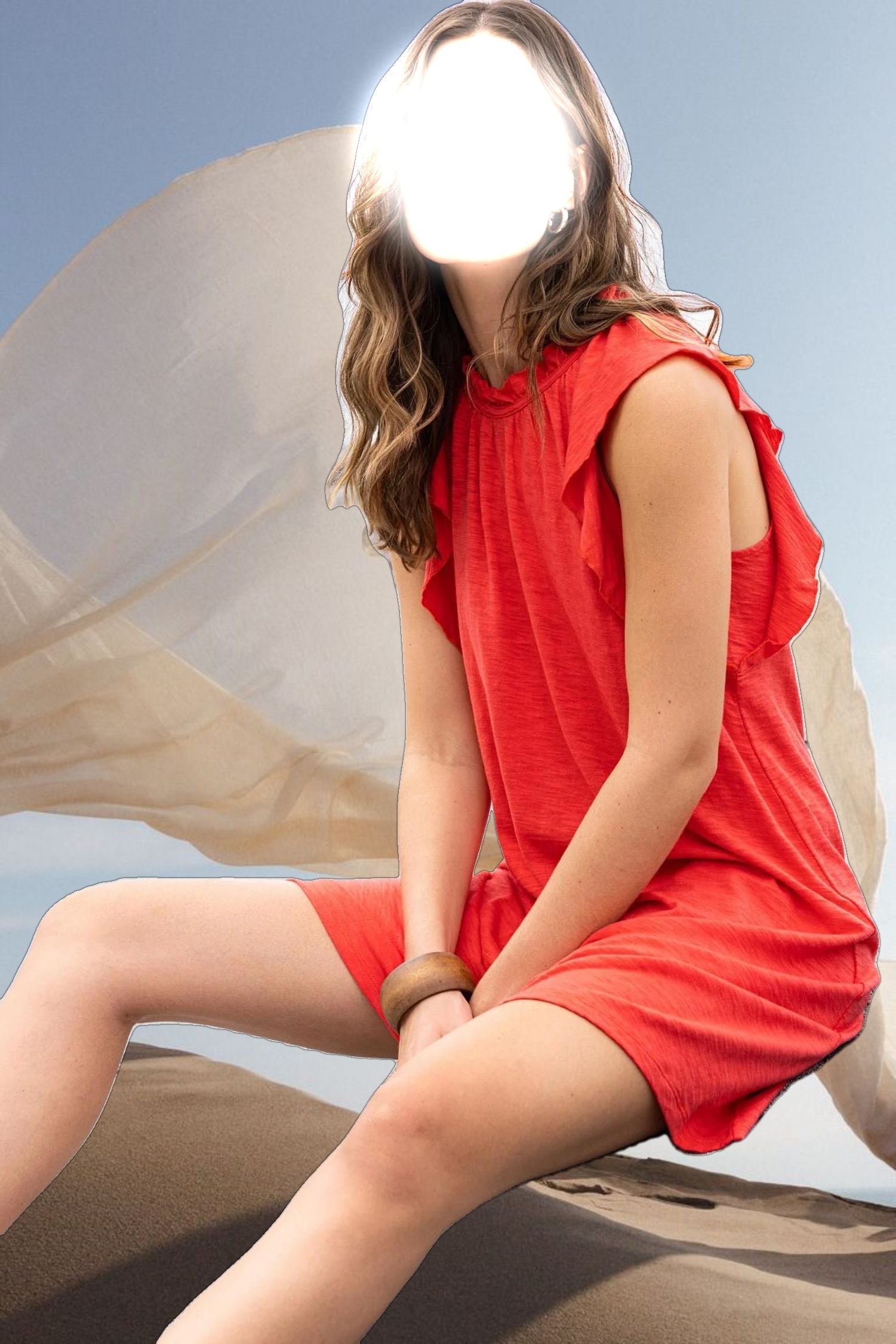 Ruffle Trim Sleeveless Dress