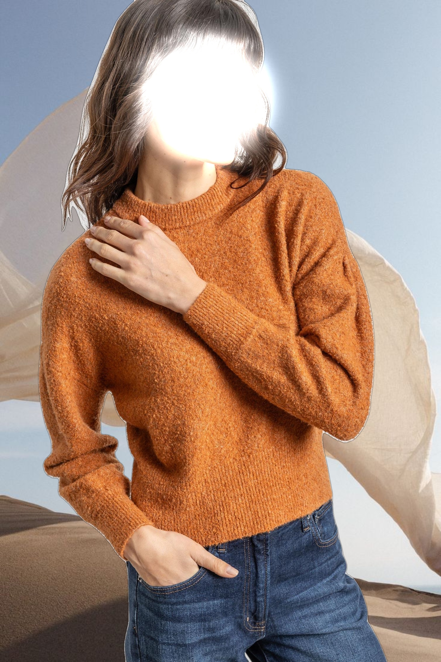 Pleated Sleeve Crewneck Sweater