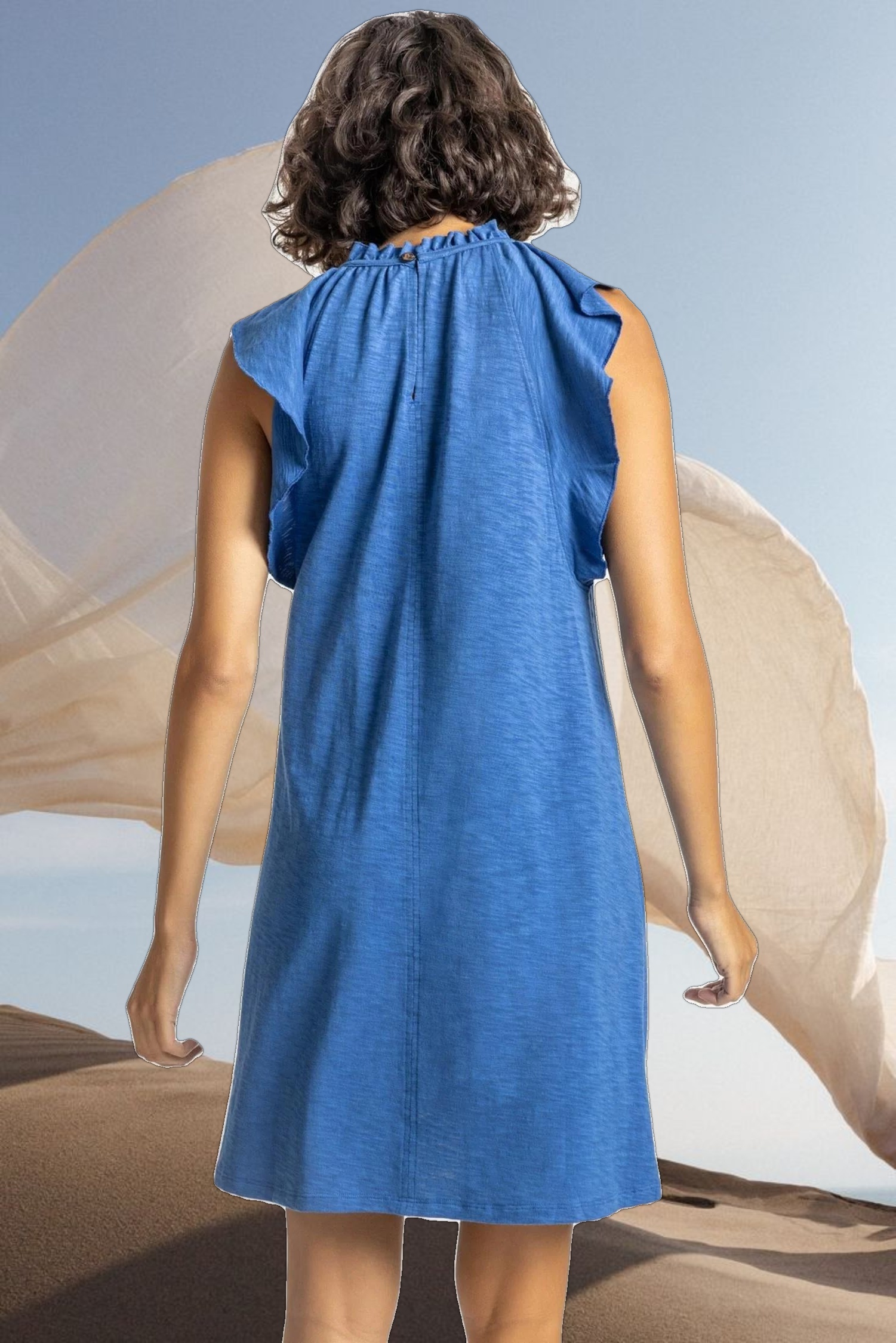 Ruffle Trim Sleeveless Dress