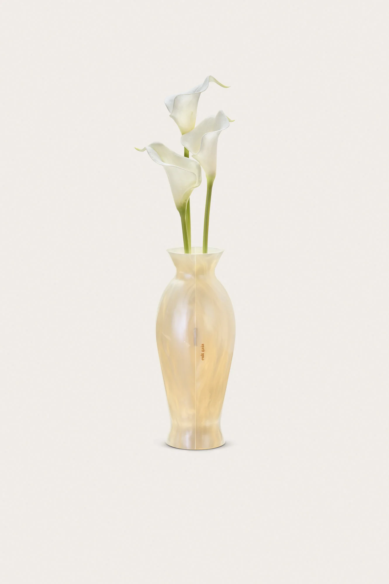 FLORENCE CLUTCH - IVORY