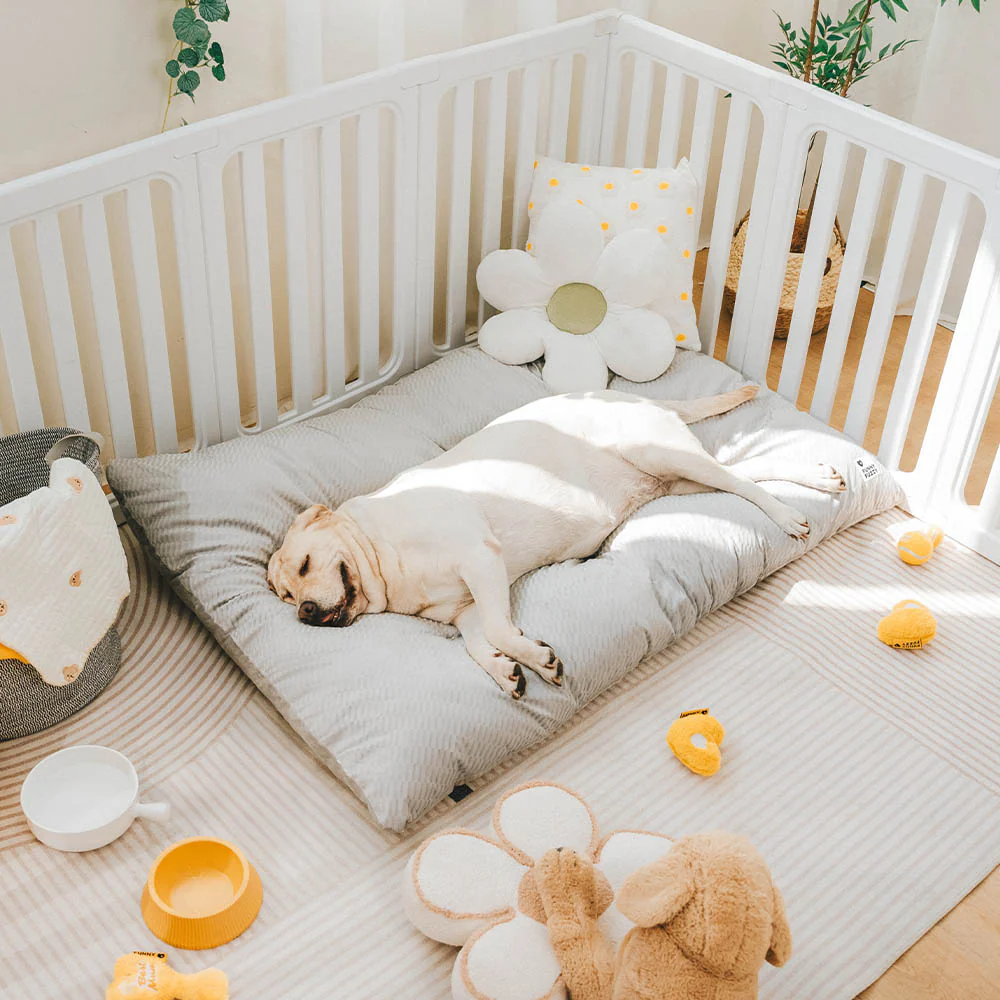 Dual-Sided Cozy Plush Washable Calming Dog Mat