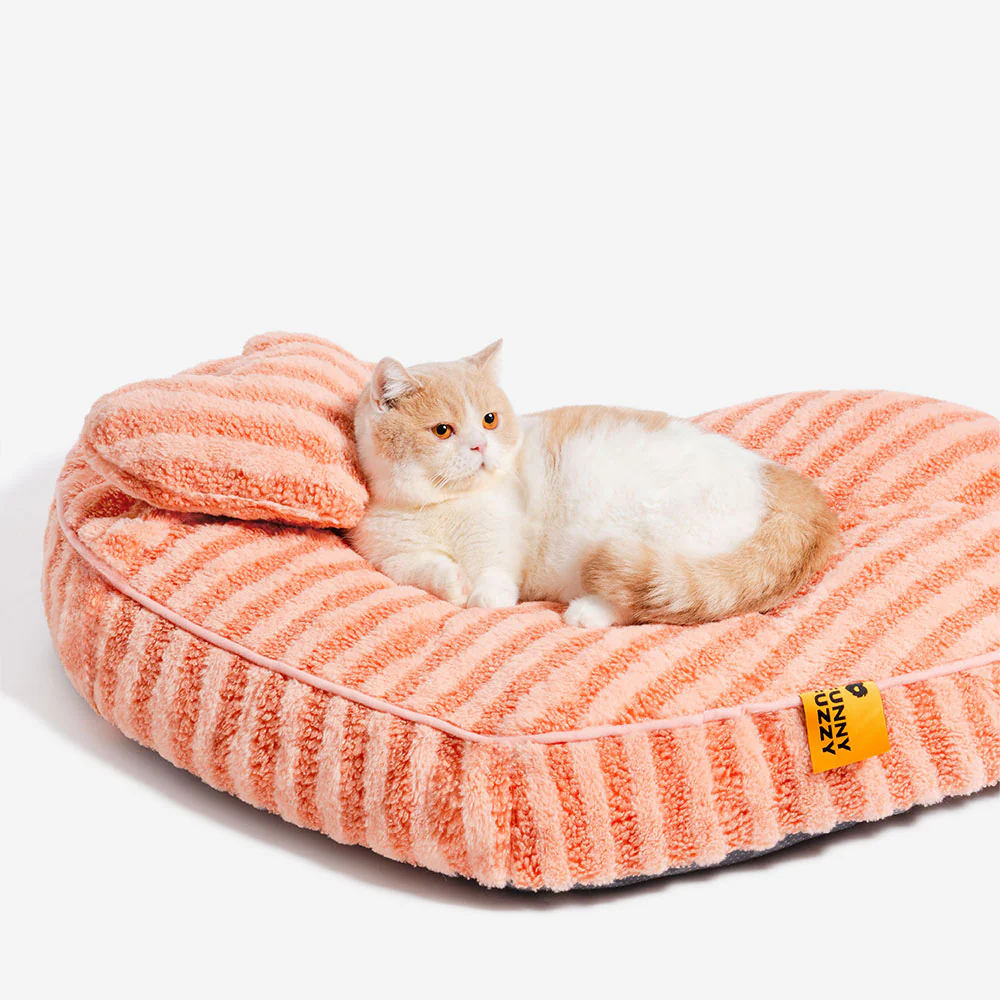 Plush Heart Fluffy Calming with Pillow Dog & Cat Bed
