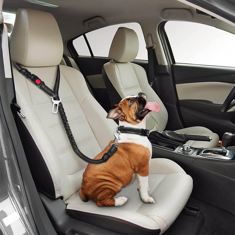 Dog Car Seat Belt for Vehicle Headrest