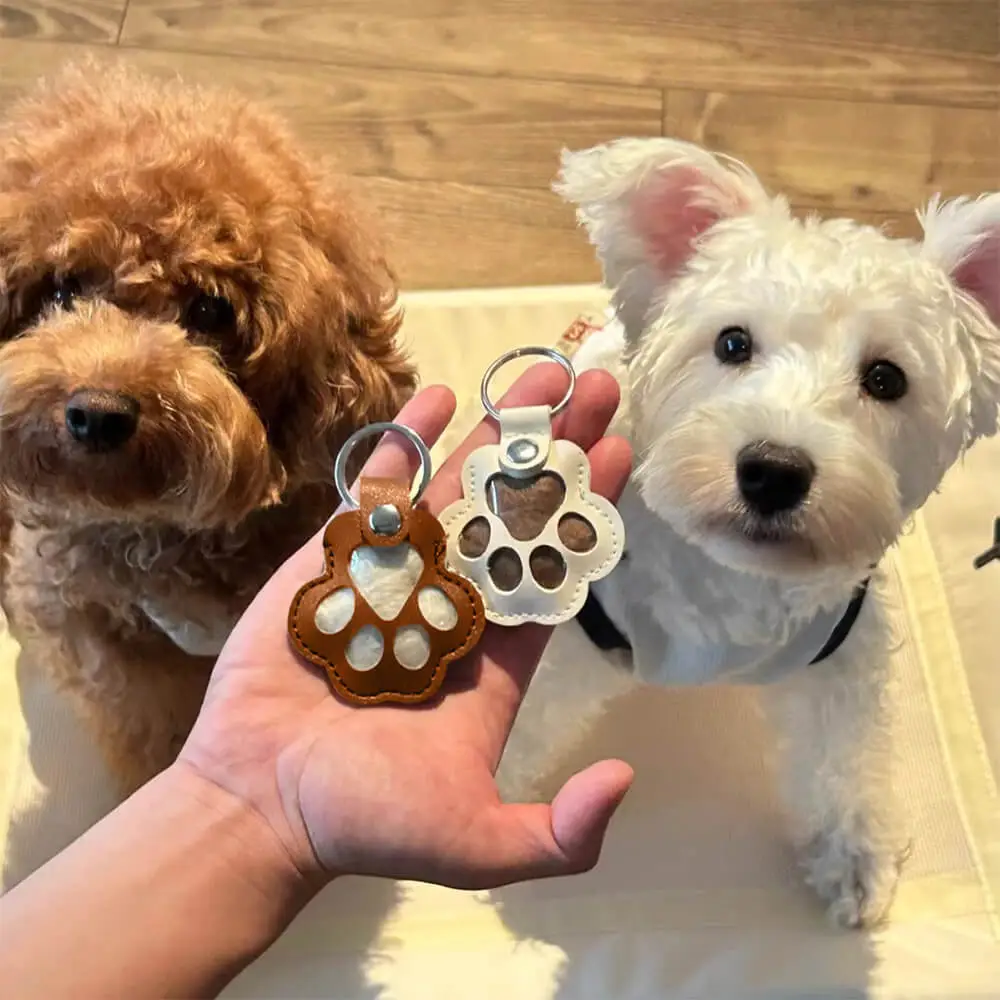 Pet Hair Memory Locket Keychain