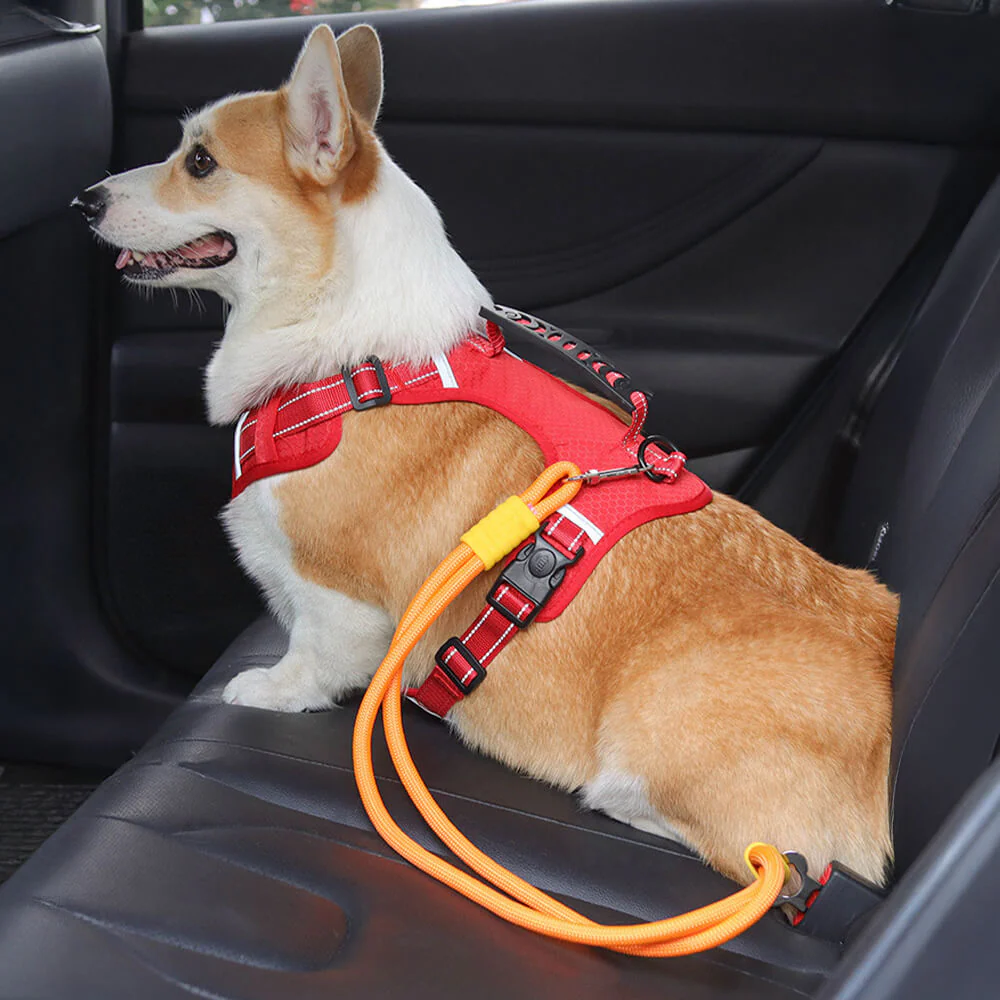Anti-pull Nylon Dog Car Seat Safety Belt