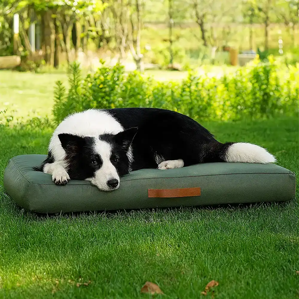 Portable Multi-function Water-resistant Scratch Resistant Inflatable Dog Bed