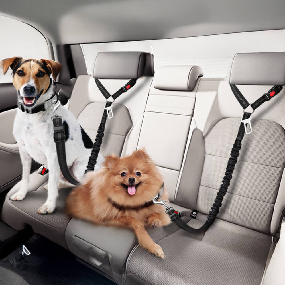 Dog Car Seat Belt for Vehicle Headrest