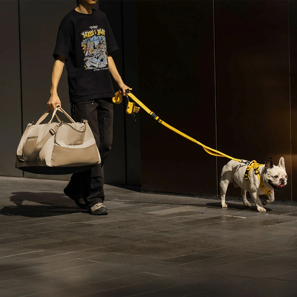 Waterproof Breathable Dog Booster Car Seat- Pup Rover