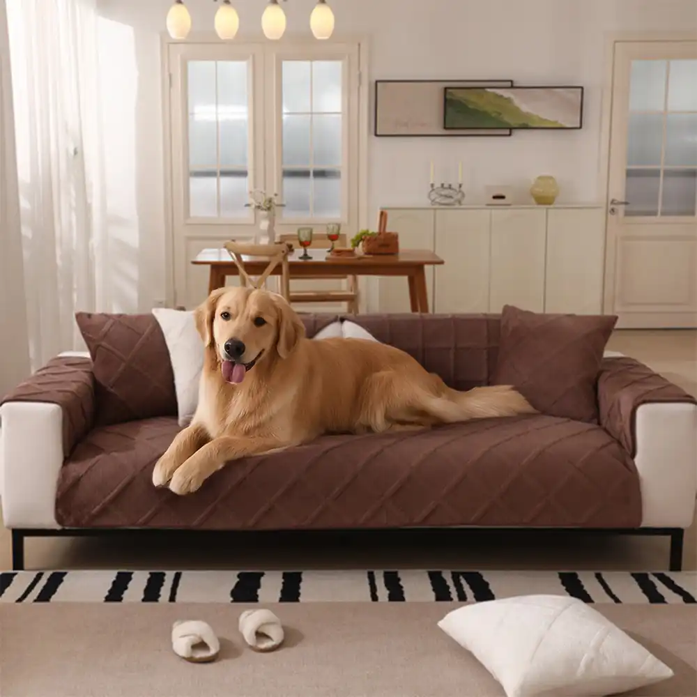 Velvety Soft Short Plush Modern Interiors Couch Cover