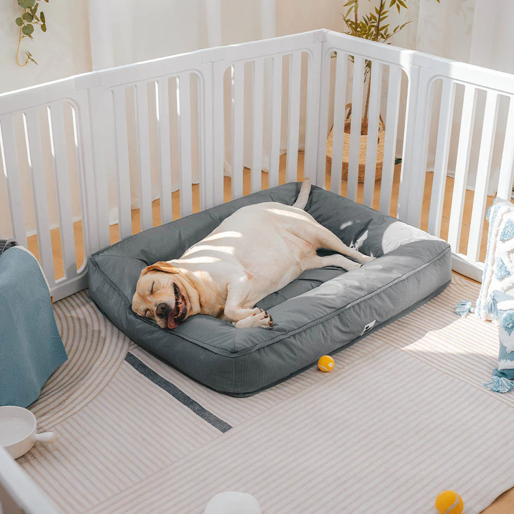 Fully Orthopedic Surround Support Waterproof Large Dog Bed