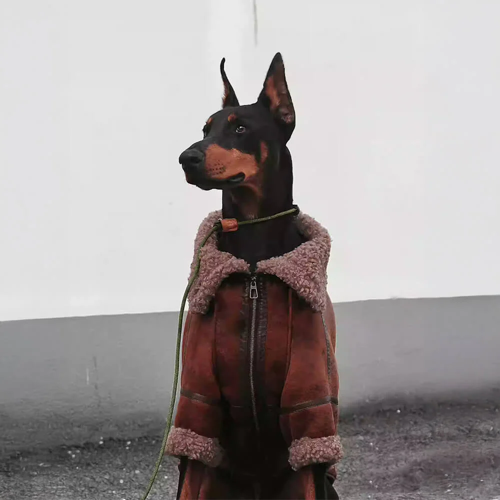 Vintage Aviator Dog Jacket with Shearling Lining - Warm and Stylish