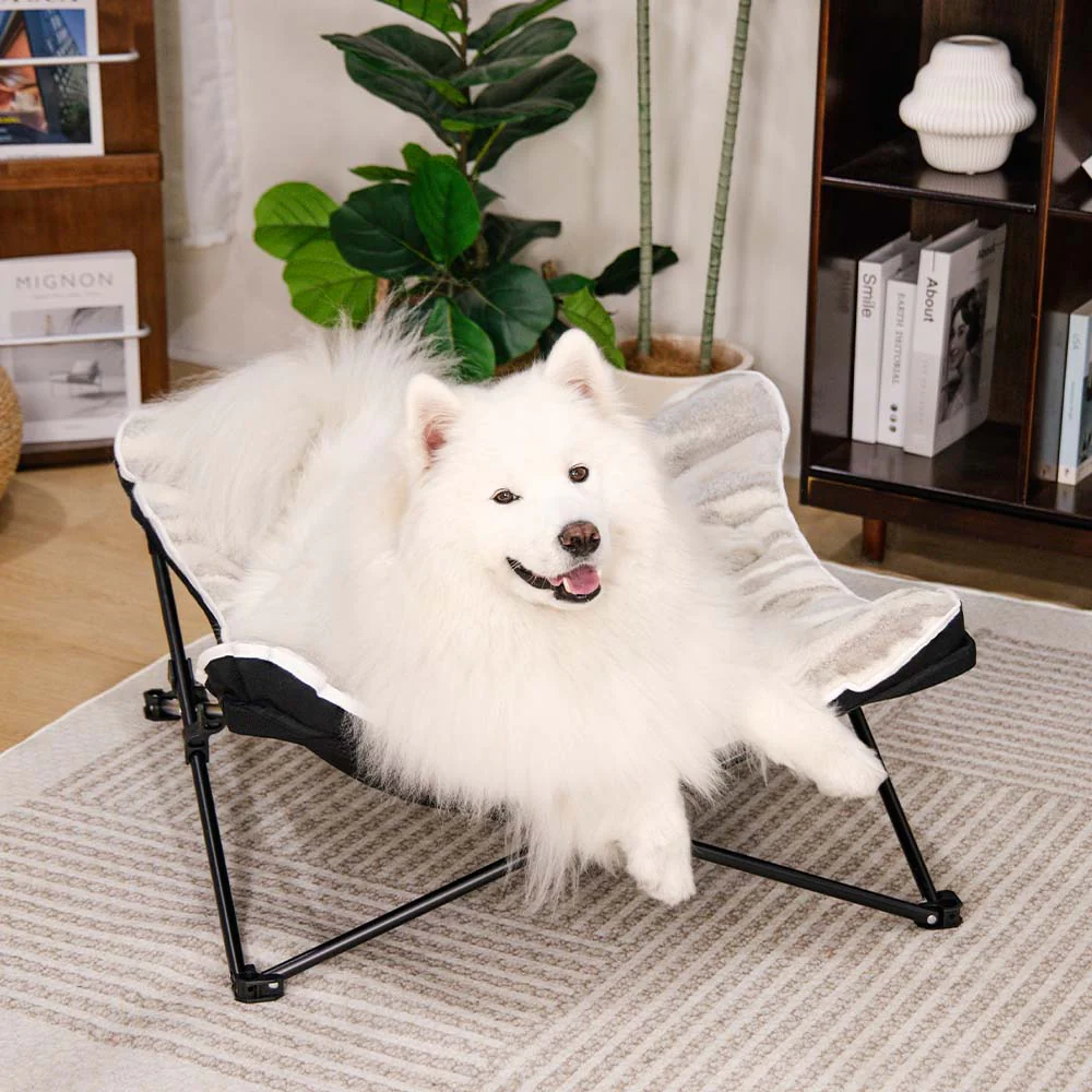 Foldable Elevated Portable Outdoor Camping Dog & Cat Bed