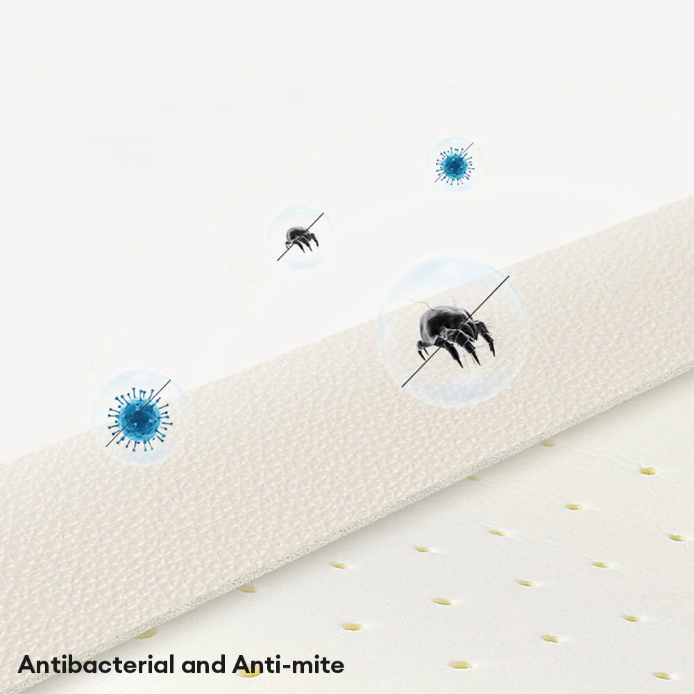 Luxury Natural Latex Supportive Anti-Scratch Dog & Cat Sofa Bed