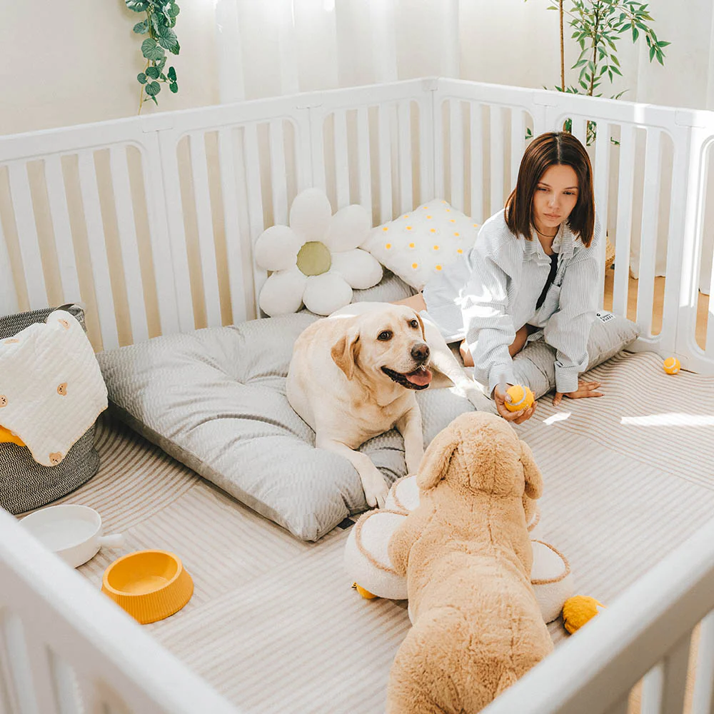Dual-Sided Cozy Plush Washable Calming Dog Mat