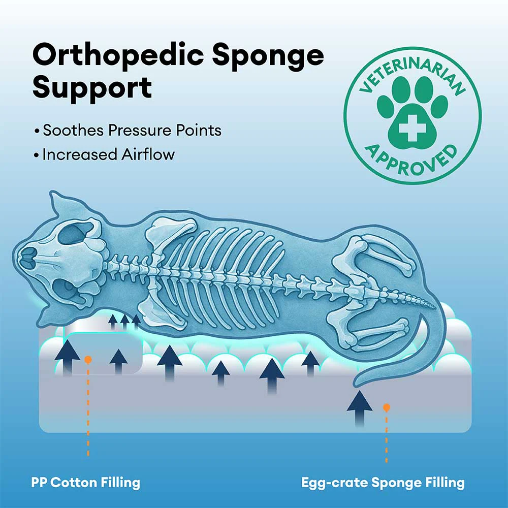 Anti-Anxiety with Sponge Support Deep Sleeping Dog Bed