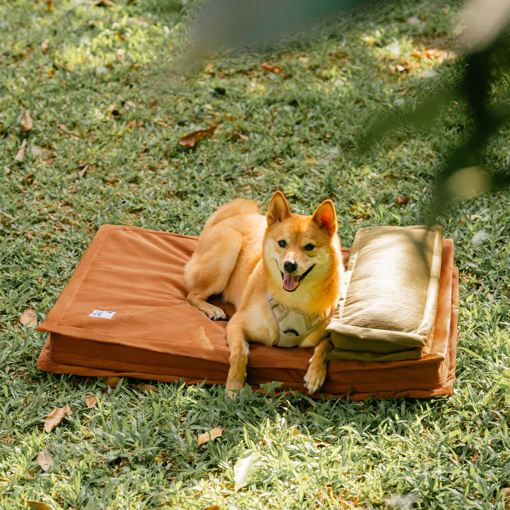 Anti-Anxiety with Sponge Support Deep Sleeping Dog Bed