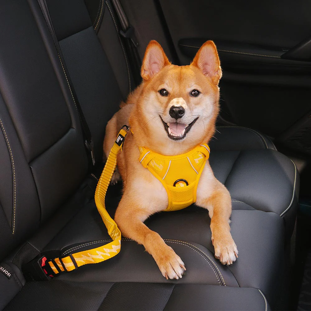Car Seat Belt Buffer Adjustable Cool Dog Accessories