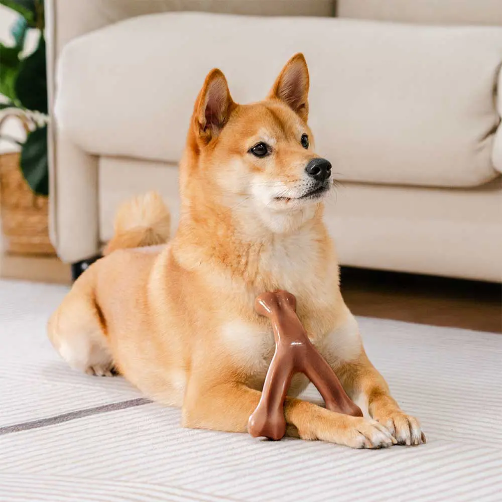 Teething Bones Dog Chew Toy - Bacon-Flavored