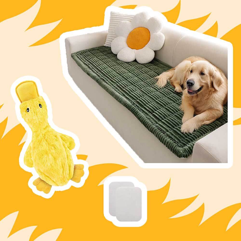 Lazy Soft Pets At Home Bundle - 14pcs