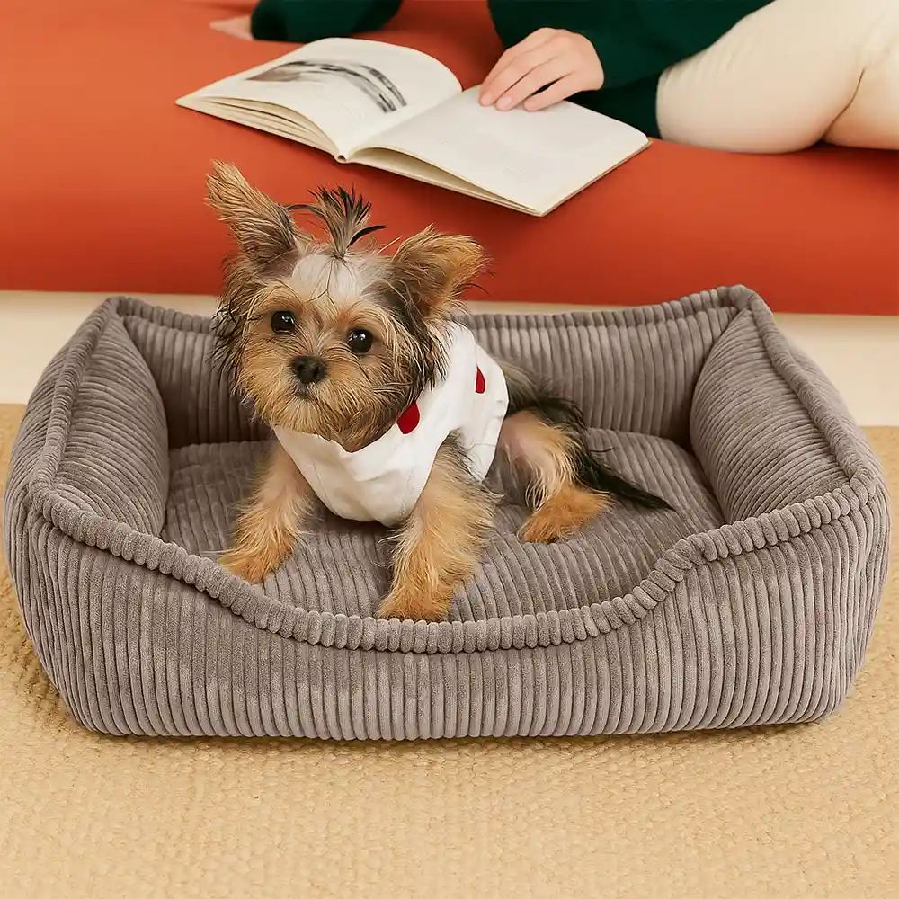 All-Season Cozy Durable Corduroy Dog Sofa Bed for Small & Medium Dogs