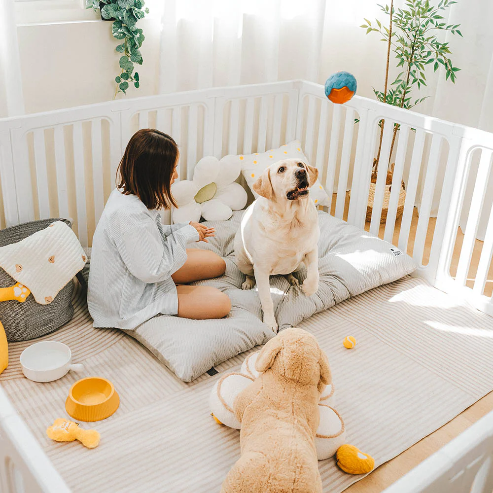 Dual-Sided Cozy Plush Washable Calming Dog Mat